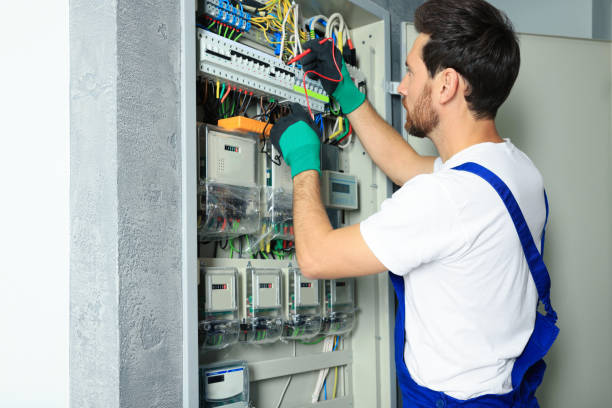 Best Electric Panel Repair  in Madison, SD